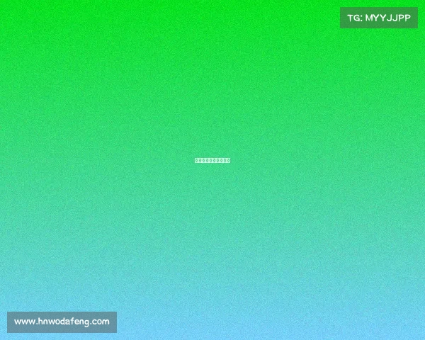 石家庄今日赛事有哪些