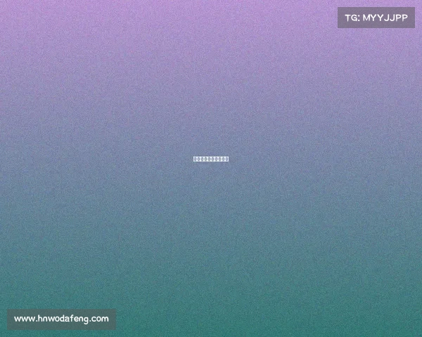 自由搏击知名赛事名单